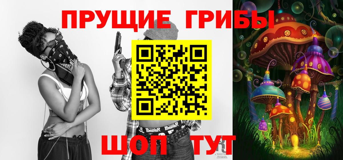 Галлюциногенные грибы Psilocybe Менделеевск