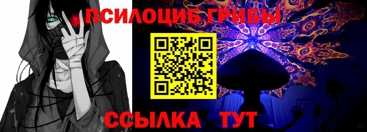 Галлюциногенные грибы GOLDEN TEACHER  Вход с VPN  Менделеевск 